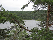 ������ 2007 �.