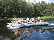 ������ 2007 �.